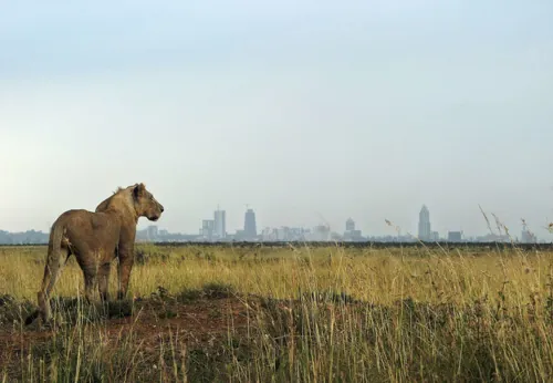 6 Days Majestic Tanzania in Tanzania