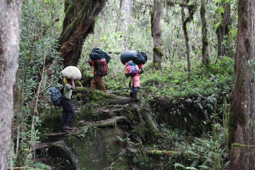 Mount Kilimanjaro, gallery photo 2